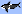 Killer Whales